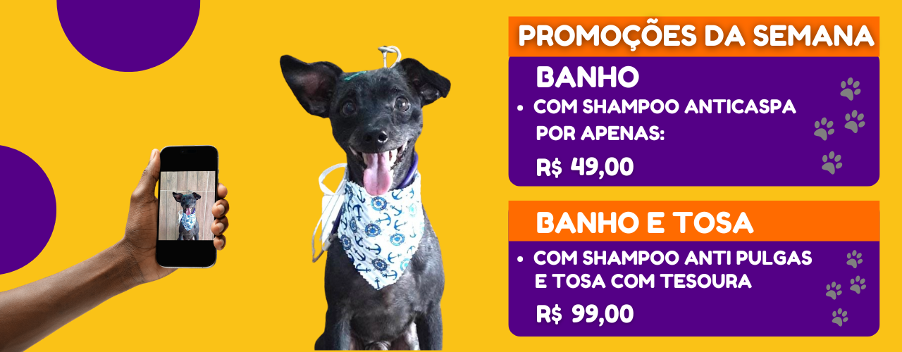 Promoção de acessórios