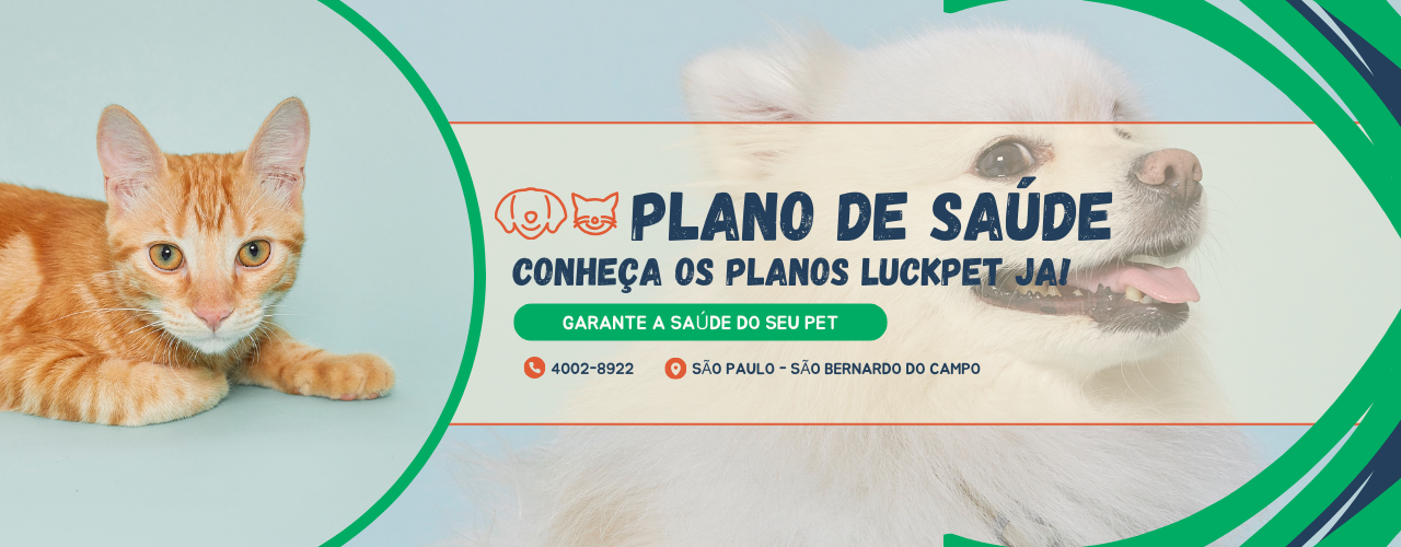 Promoção de Acessórios